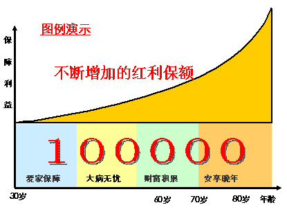 安鑫保投保年龄_按实际收入投保(2)