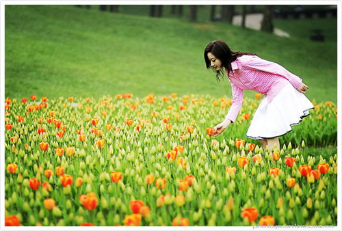 成都美女妩媚郁金香