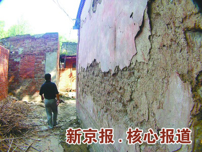 河南卢氏县官场生态六年重建