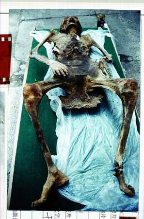 东北湿地干尸复活之谜 - yu19826150的日志 - 网易博客