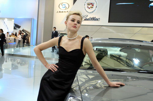 上海车展花营锦阵(28)