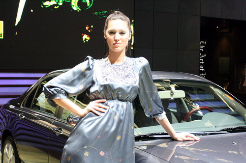 上海车展花营锦阵(38)