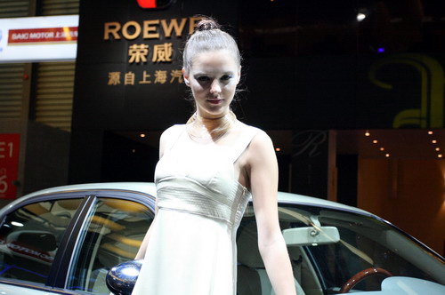 上海车展花营锦阵(38)