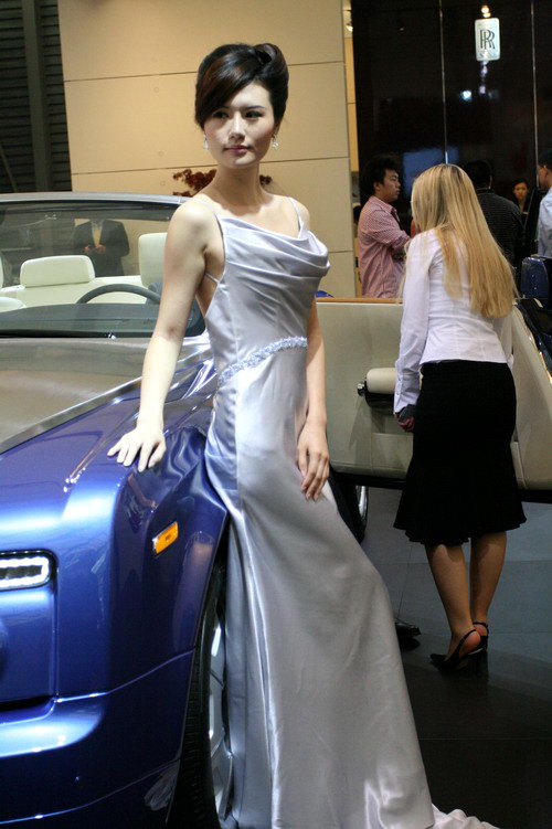 上海车展花营锦阵(45)